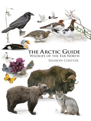cover image of The Arctic Guide